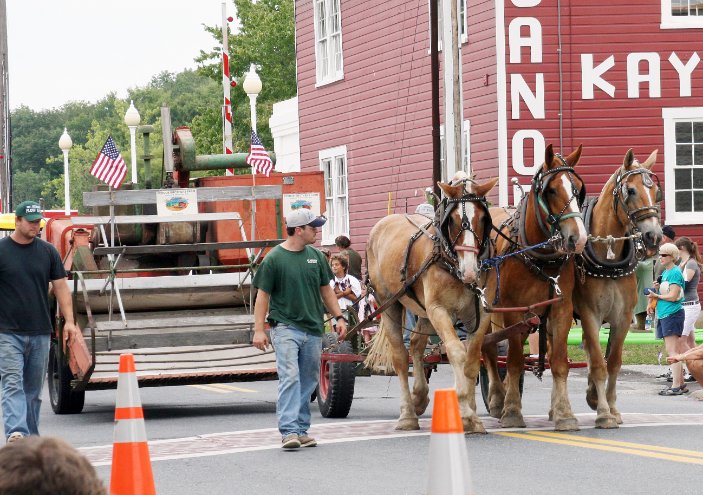 Horse drawn combine